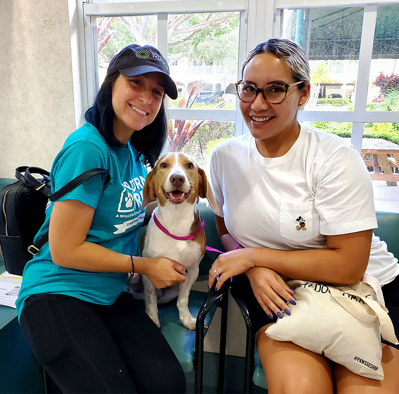 Veterinarian in Miami Vets Near Me Town & Country Animal Hospital