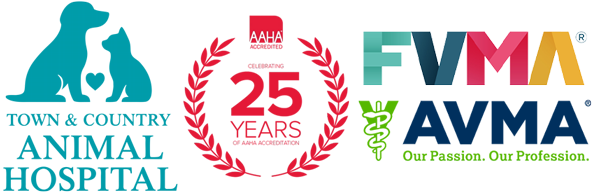 Town & Country Animal Hospital